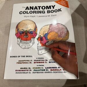Pearson Anatomy Coloring Book - Multicolor